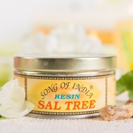 Żywica zapachowa Song of India - Sal Tree